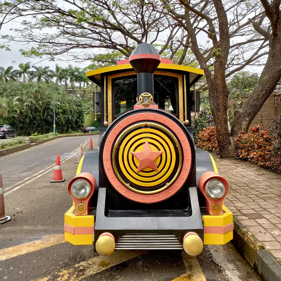 Toy train at Aamby Valley City
