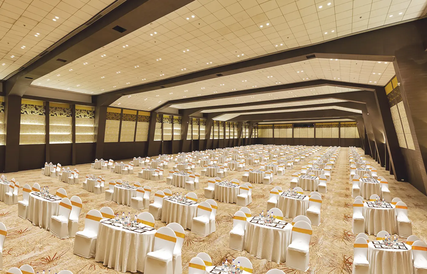 Aamby Valley Auditorium
